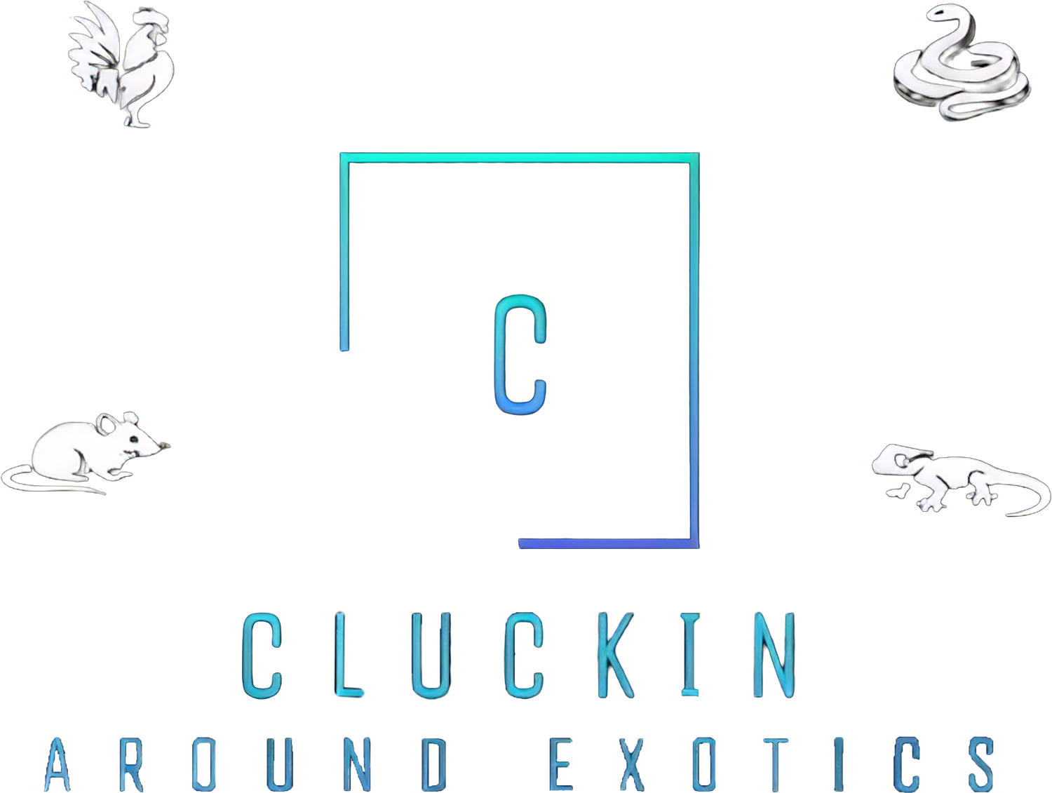 Cluckin Around Exotics Logo